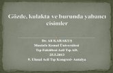 Dr. Ali KARAKUŞ Mustafa Kemal Üniversitesi Tıp Fakültesi Acil Tıp …file.atuder.org.tr/_atuder.org/fileUpload/vXX5A4mpD983.pdf · 2013. 6. 7. · Yüzeyel cisimler 25 gauge