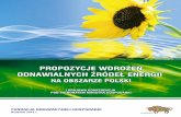 PROPOZYCJE WDROŻEŃ ODNAWIALNYCH ŹRÓDEŁ ENERGII · 2012. 11. 26. · Lp Technologia Taryfa [zł/kWh] 1 biogaz rolniczy < 50 kW 0, 70 2 biogaz rolniczy 50 – 200 kW 0, 65 3 biogaz