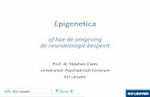 Naam spreker Instelling - vgct.nl … · Epigenetica Epigenetics involves chemical signatures that are added to DNA and proteins that package it, to regulate their activity. The more
