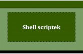 New A shell script a parancsértelmező (esetünkben Bash) · 2020. 4. 3. · A shell script a parancsértelmező (esetünkben Bash) saját programnyelve. Használatával rövid,
