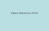 Hipra Mantova 2010 - Gruppo Veterinario Suinicolo Mantovano · Hipra Mantova 2010 . Content • History • Clinical and pathological lesions indicative for AR • Pathogenicity test