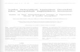 Lomber Diskopatilerde Ligamentum Flavumdaki Erken …norosirurji.dergisi.org/pdf/pdf_TND_370.pdf · 2007. 4. 2. · Turk Ndro~irurji Dergisi 11: 23 - 26, 2001 Bademci: Ligamentum
