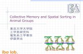 Collective Memory and Spatial Sorting in Animal GroupsCollective Memory and Spatial Sorting in Animal Groups, Iain D. Couzinnw, Jens Krausew, Richard Jamesz, Graeme D. Ruxtony and