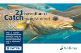 Seniorforsker Geir Sogn-Grundvåg har vært prosjektleder for Catch. · 2018. 10. 16. · CATCH© Nofima 2018 3 Catch har gitt ny kunnskap om bedre kvalitet og lenger holdbarhet -