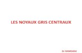 LES NOYAUX GRIS CENTRAUX - Site Officiel · 2020. 4. 9. · I-Introduction Le système des noyaux gris centraux (NGC) également appelés ganglions de la base est onstitué d’un