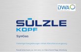 SynGas - suelzle-kopf.de€¦ · Betriebsstunden in Balingen und Mannheim - 750 – 15.000 t/a DS - Auch im Containerdesign erhältlich Schnell installiert (System wird vormontiert