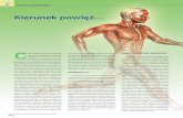 Kierunek powięź… - PTISptis.pl/wp/wp-content/uploads/2016/04/Praktyczna... · 2020. 9. 9. · 3. R. Schleip, Muller D.G., Fascial Fitness, Fascia oriented training for bodywork
