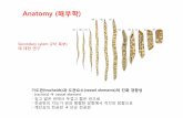 Anatomy (해부학) - Amborellaamborella.net/2011-PlantSystematics/Week07-Other method.pdf진정쌍자엽식물 Ceratophyllales Canellales MONOCOTS Acorus 붕어마름 창포 벼,