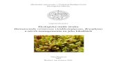 Ekologická studie druhu Hamatocaulis vernicosus … · 2005. 4. 15. · ŠTECHOVÁ TÁ A. (2005): Ekologická studie druhu Hamatocaulis vernicosus (Amblystegiaceae, Bryopsida) a