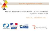 Ateliers de sensibilisation : la GPEC sur les territoires · Ateliers de sensibilisation : la GPEC sur les territoires Synthèse atelier Loiret Orléans – 18 octobre 2012 Pour des