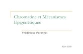 Chromatine et Mécanismes Epigénétiquesgenetique.snv.jussieu.fr/OLD SITE/Documents 2009... · 1) Epigénétique 2) La chromatine 3) Les mécanismes épigénétiques - Les modifications
