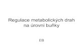Regulace metabolických drah na úrovni buňkyvyuka-data.lf3.cuni.cz/CVSE1M0001/regulace metabolickych drah na … · Obsah přednášky •Obecné principy regulace metabolických