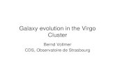 Galaxy evolution in the Virgo Cluster - Home | Max Planck ... · NGC 4330 NGC 4522 NGC 4388 NGC 4569 model model model model pre-peak near peak ~150Myr after peak ~300Myr after peak