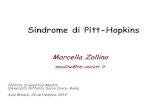 Sindrome di Pitt-Hopkins€¦ · 1978 prima descrizione clinica (Pitt e Hopkins) 6-8 casi 2007 identificazione del gene Amiel et al, Am J Hum Genet, 2007 Zweier et al, Am J Hum Genet,
