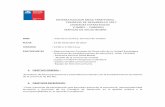 Ministerio de Salud de Chile - SISTEMATIZACION MESA ...200.72.31.211/mesasterritoriales/2017/20180208_Unidad_E...2018/02/08  · 3. Se inicia presentación (exposición) de trabajo