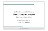 (hoffentlich kurze) Einführung: Neuronale Netzehis.anthropomatik.kit.edu/users/loesch/LaborWissRepr... · 2011. 11. 27. · Dipl.-Inform. Martin Lösch Labor Wissensrepräsentation