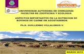 UNIVERSIDAD AUTONOMA DE CHIHUAHUA FACULTAD ... VILLALOBOS_ASPECTOS...2012/03/15  · ASPECTOS IMPORTANTES EN LA NUTRICION DE BOVINOS DE CARNE EN AGOSTADEROS Ph.D. GUILLERMO VILLALOBOS