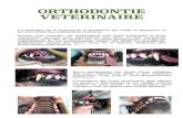 CVLV DENTISTERIE ORTHODONTIE · 2016. 3. 14. · ORTHODONTIE VETERINAIRE L’orthodontie est la branche de la dentisterie qui étudie le diagnostic et les corrections des malpositions