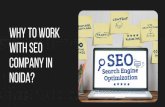 Why to work with SEO Company in Noida?