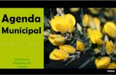 Municipal - Alijó · 2018. 1. 15. · Orquestra Paulistana de Viola Caipira é hoje uma ONG que tem como objectivo central a pesquisa, difusão e divulgação da cultura caipira.