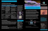 © CD 5 L’assainissement collectif - Ille-et-Vilaine · a Guide technique sur le foisonnement des boues activées FNDAE n°8-1990 Aide au diagnostic des stations d’épuration