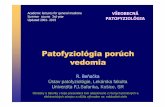 Patofyziológia porúch vedomiapatfyz.medic.upjs.sk/SSTUDMAT/Benacka - Poruchy vedomia...(+) kmeňové reflexy, (+) vegetatívne funkcie, Dýchanie normálne progressive rostral-caudal