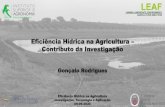 Eficiência Hídrica na Agricultura Contributo da Investigação...Aumentar Competitividade do Regadio Aumentar a Produtividade da Água de Regadio - Aumentar a Disponibilidade de