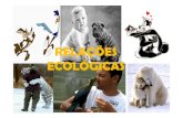 slide relaÃ§Ãµes ecologicas - Nova Pedagogianovapedagogia.com.br/uploads/relacoes-ecologicas.pdf · Relações interespecíficas harmônicas Comensalismo (+10): ocorre quando