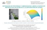 OBTENCIÓN DE PROTEÍNAS Y AMINOÁCIDOS LIBRES A PARTIR DE ...€¦ · Contenido en proteínas Método Slocombe et al. (2013) Kedjhald Determinación de nitrógeno en medio Ultravioleta