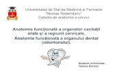 Anatomia funcțională a organelor cavitații orale și a regiunii … · 2020. 3. 25. · koloboma = mutilare) –defect de închidere a proeminenței maxilare cu cea nazală laterală