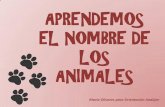 APRENDEMOS EL NOMBRE DE LOS ANIMALES...APRENDEMOS EL NOMBRE DE LOS ANIMALES María Olivares para Orientación Andújar