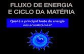 Fluxo de energia e ciclo da matéria...Transformam a energia luminosa em energia química Glicose ofos Mitocôndria Armazena a energia captada do Sol FLUXO DE ENERGIA CICLO DA MATÉRIA