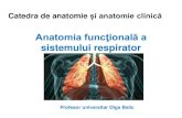 Anatomia funcţională a sistemului respirator · Aparatul respirator Aparatul respirator este divizat în două porțiuni: •supraglotică (cu funcţii mixte); •infraglotică(cu