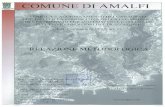 PUC Città di Amalfi€¦ · 41 - 60 abb/Ha 61 - 80 abb/Ha 81 - 100 abb/Ha - 130 abb/Ha Oltre i 131 abb/Ha . N ... 41 250 10 Tabella 5. Riepilogo dei dati prima dell' aggiornamento