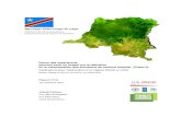 République Démocratique du Congo...(RPP, Annexe 2a). 2. Sur base des projets identifiés à l’occasion de la première phase de revue bibliographique (Gerkens & Kajemba, février