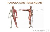 RANGKA DAN PERSENDIAN - UNIMALAlat gerak tubuh manusia ⇒ sistem muskuloskeletal: pasif : rangka (skeletal/osteon) aktif : otot (muscle/musculus) Rangka-tulang: jaringan ikat yg keras