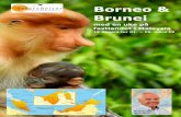 Borneo & Brunei - SmartReiser€¦ · Søndag 10. mars: Ved stranden (F) Frokost på hotellet. Avslappende dag på stranden. Kota Kinabalu, en liten «storby» med en behagelig stemning.