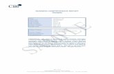 BUSINESS COMPREHENSIVE REPORT (Sample) Business Comprehensive Report - Sample.pdfPledger: 江苏新**实业集团有限公司(translated as Jiangsu Xin** Industrial Group Co., Ltd.)