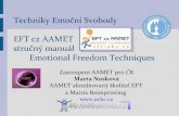 Techniky Emoční Svobody EFT cz AAMET stručný manuál ...EFT cz AAMET – EFT stručný manuál Tento stručný manuál byl vytvořen jako informativní pomůcka a návod k použití