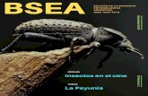 P · hereje (1977), los escarabajos de La momia (1999), los grillos descomunales (parecen del género Stenopelmatus) de King Kong (2005), las moscas de El señor de las moscas (1963)
