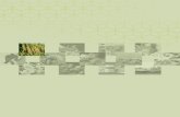 DASAR46 AGROMAKANAN NEGARA (2011 – 2020) download images...penggunaan bahan sampingan seperti jerami dan sekam padi untuk menghasilkan produk sampingan termasuk makanan ternakan,