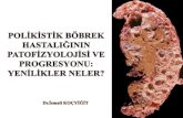 Otozomal dominat polikistik · 2017. 12. 21. · Otozomal dominat polikistik böbrek hastalığı Ecder T, Fick-Brosnahan GM, Schrier RW: Diseases of the Kidney and Urinary Tract,