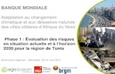 Adaptation au changement climatique et aux désastres naturels · l’assistance de l’Institut National de la Météorologie de Tunisie Méthodes de descente d’échelle dynamique