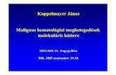 Kappelmayer János Malignus hematológiai megbetegedések ... · • Diagnózis felállítása - tumor specifikus genetikai eltérések kimutatása (Philadelphia kromoszóma - CGL)