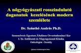 A nőgyógyászati rosszindulatú daganatok kezelésének modern …rendszermedicina.hu/files/dr.Szantho.nogyogyaszat.onko... · 2016. 2. 23. · A nőgyógyászati rosszindulatú