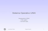 Sistema Operativo UNIX– l'insieme di caratteri leciti dipende dal sistema operativo – Unix distingue fra lettere maiuscole e minuscole • Una directory è un file speciale, gestito