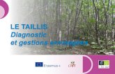 LE TAILLIS SIMPLE Diagnostic et gestions envisagéeseforown.ctfc.cat/pdf/13.a_Le_taillis_diagnostic_et... · 2019. 8. 20. · Le taillis simple est souvent composé d’uneseule essence