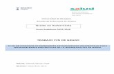 Grado en Enfermeríazaguan.unizar.es/record/61274/files/TAZ-TFG-2016-504.pdfPlan de cuidados de Enfermería estandarizado en domicilio para tratamiento y prevención de la bronquiolitis