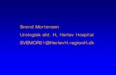 Svend Mortensen Urologisk afd. H, Herlev Hospital SVEMOR01 ... · urothel over et prostata -adenom? ( Ref. deGroat). Men hvorfor virker antimuscarinica så? Og: Der er objektive forandringer