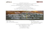 Etude minéralogique et géochimique du chapeau de fer des ...saidi.ma/memoires/Jamili-Ouledsaber-2012.pdf3. Aperçut historique du gisement de Hajjar : Le gisement de Hajjar a été